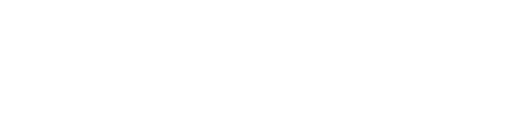 Logo white